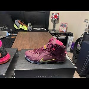 Lebron 12s
